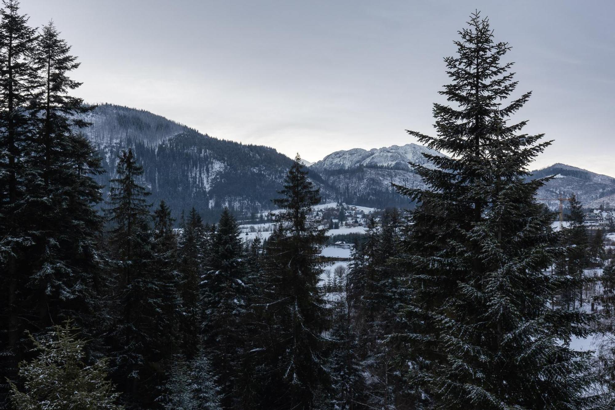 Apartamenty Smrek Zakopane Косцелиско Номер фото