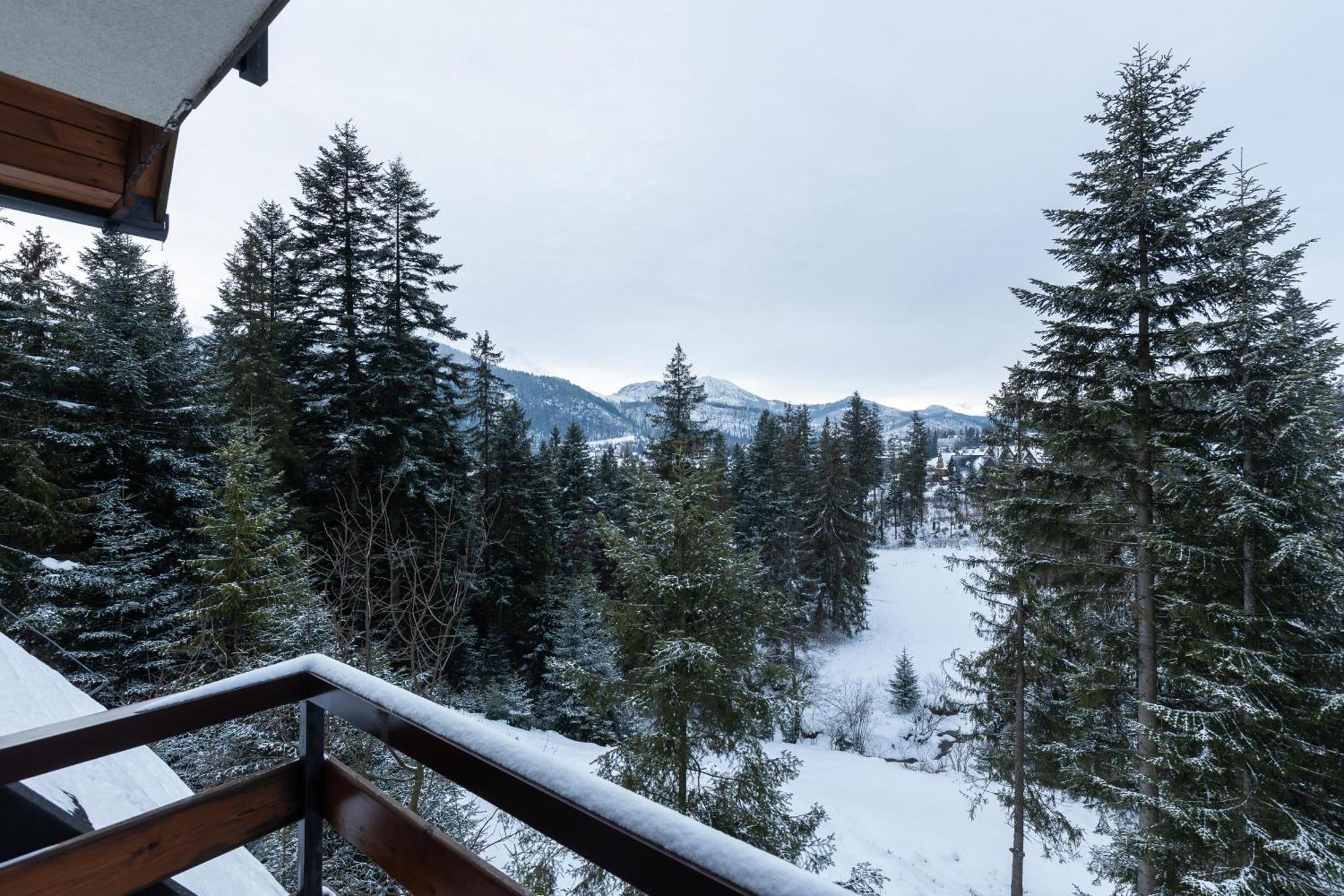 Apartamenty Smrek Zakopane Косцелиско Номер фото