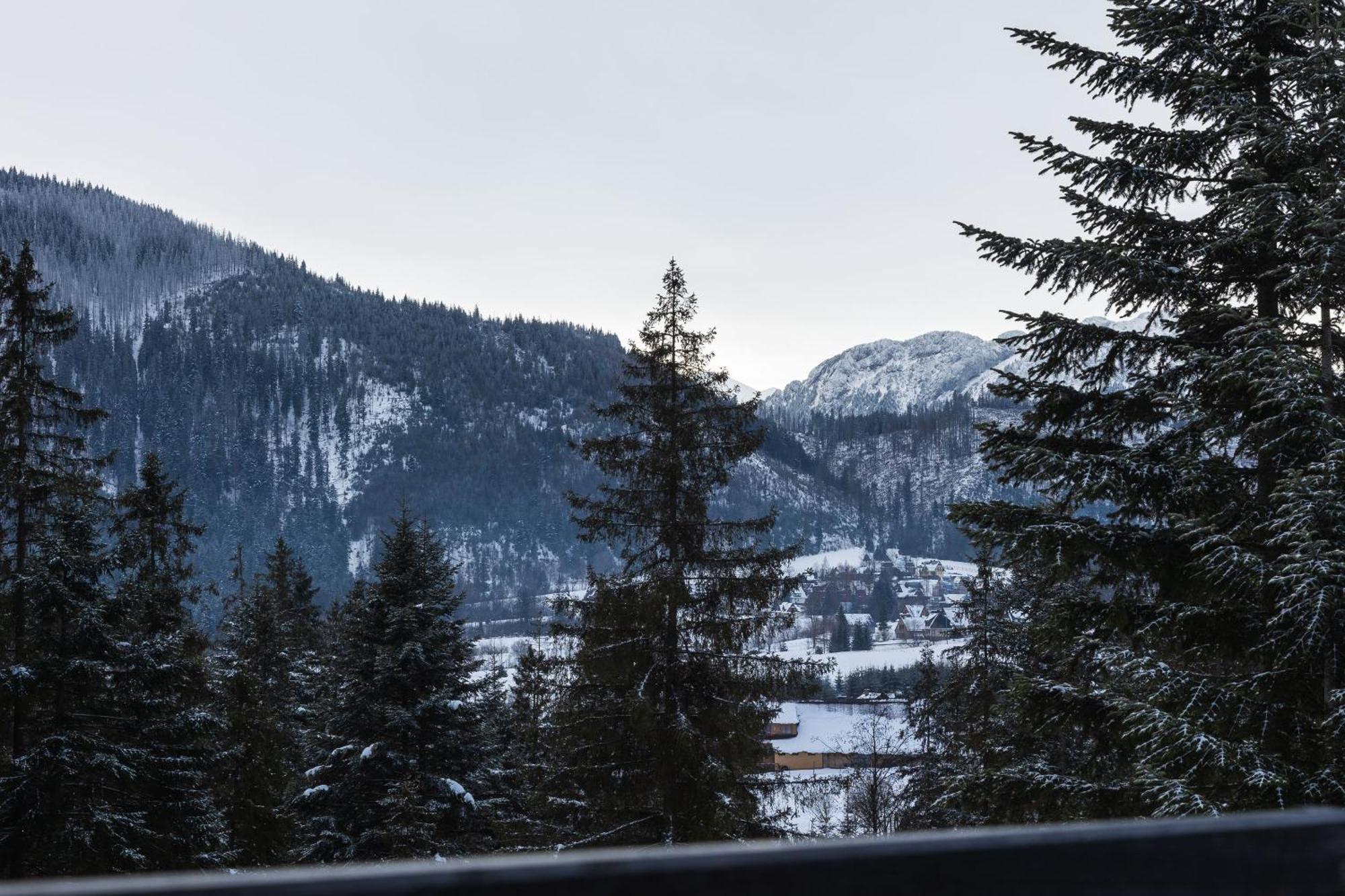 Apartamenty Smrek Zakopane Косцелиско Номер фото